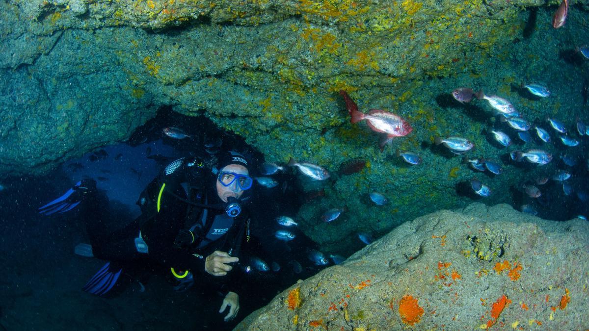 Un buceador rodeado de peces, en Islas Canarias.