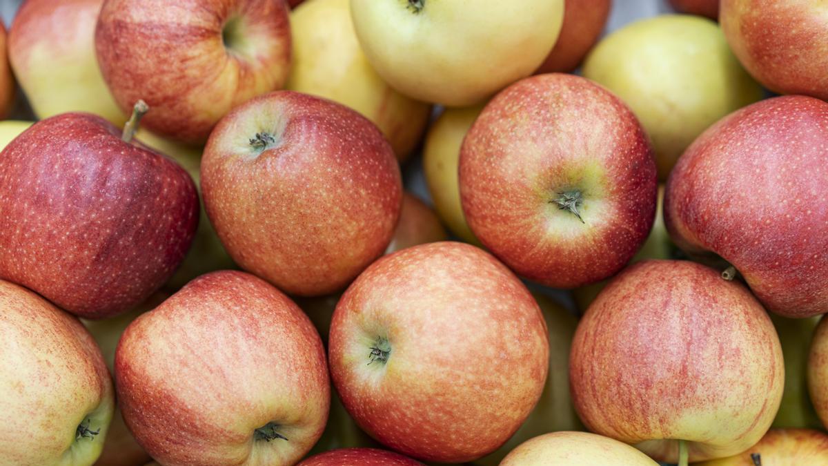 La manzana es una de las frutas más comunes y, a la vez, más completas desde el punto de vista nutricional.