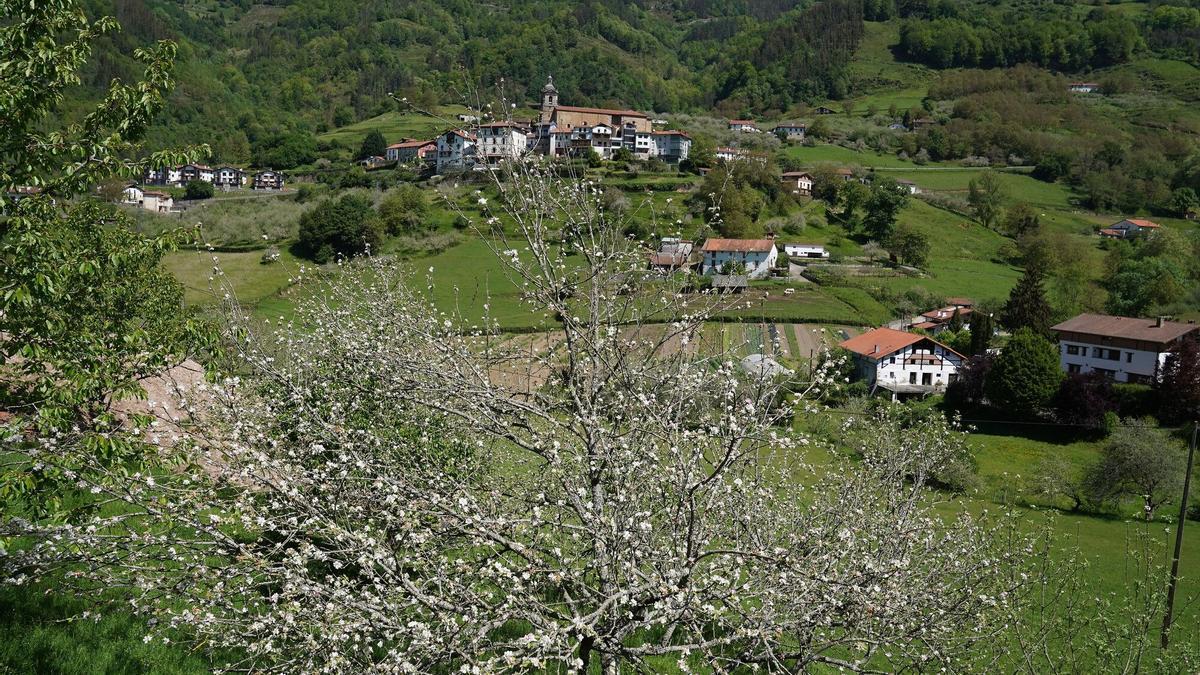 La floración de las manzanas en Errezil protagonizará las primeras visitas guiadas del programa.