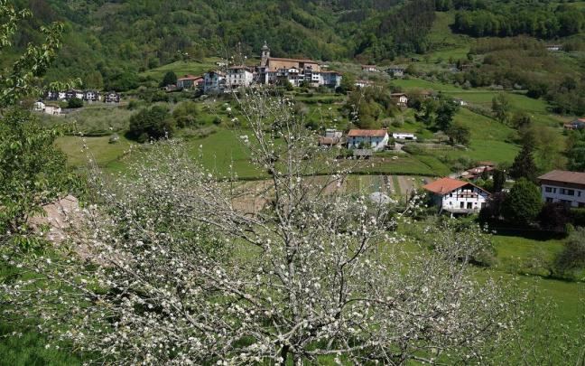 La floración de las manzanas en Errezil protagonizará las primeras visitas guiadas del programa.