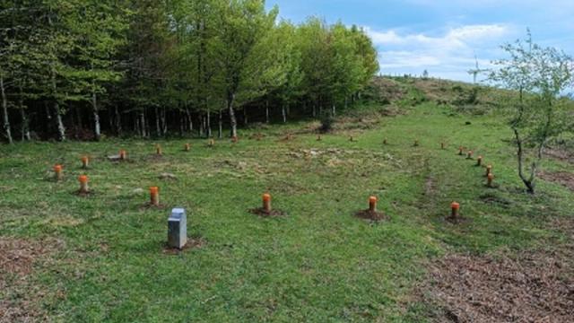 Estación megalítica de Oiz.