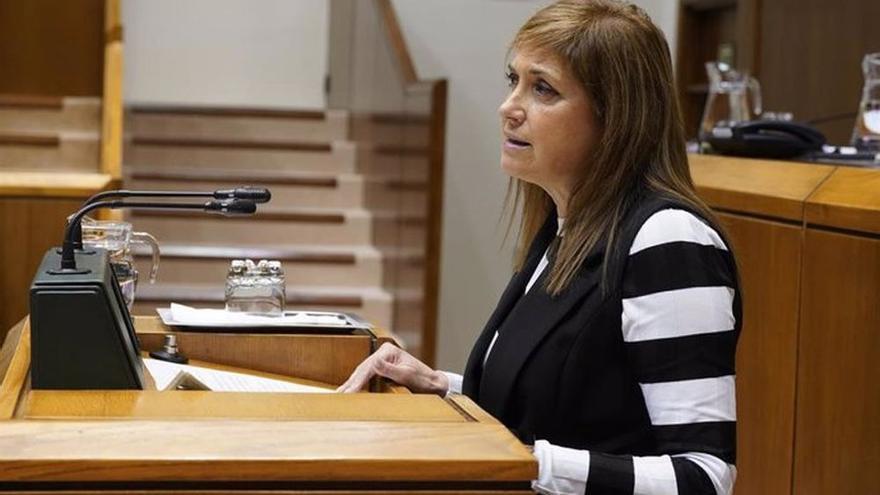 La consejera de Justicia, María Jesús San José, en el Parlamento Vasco.