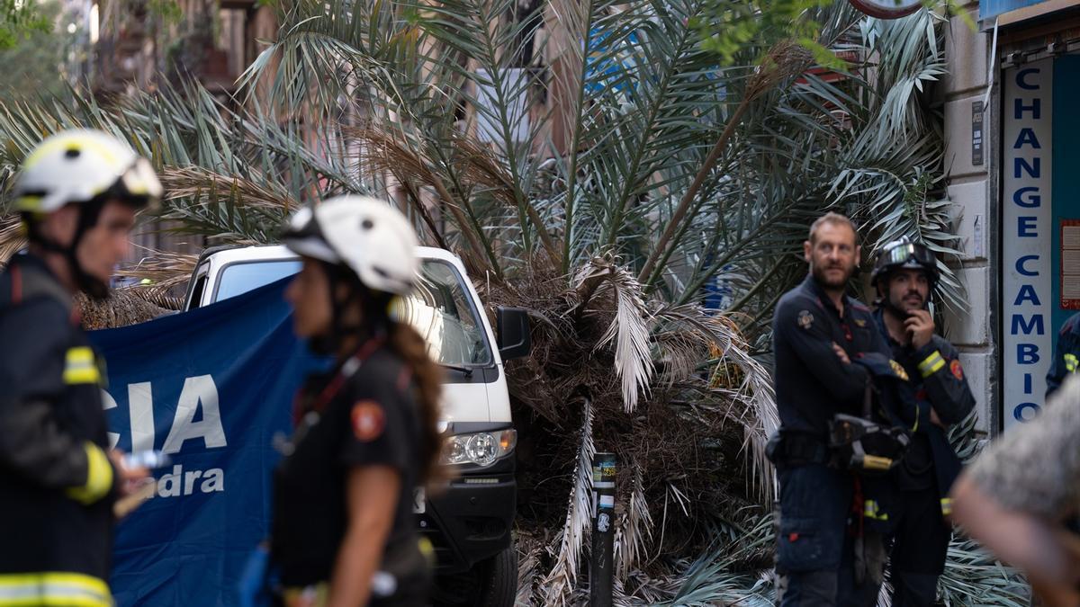 El accidente sucedió el 3 de agosto de 2023 cuando la joven paseaba por el barrio del Raval, momento en que se partió de golpe una palmera de la plaza y esta cayó violentamente sobre la víctima, que murió aplastada.