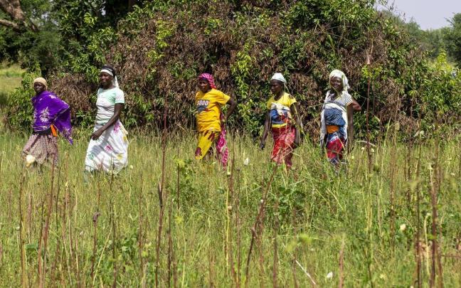 Imagen de archivo de un grupo de mujeres en Burkina Faso.