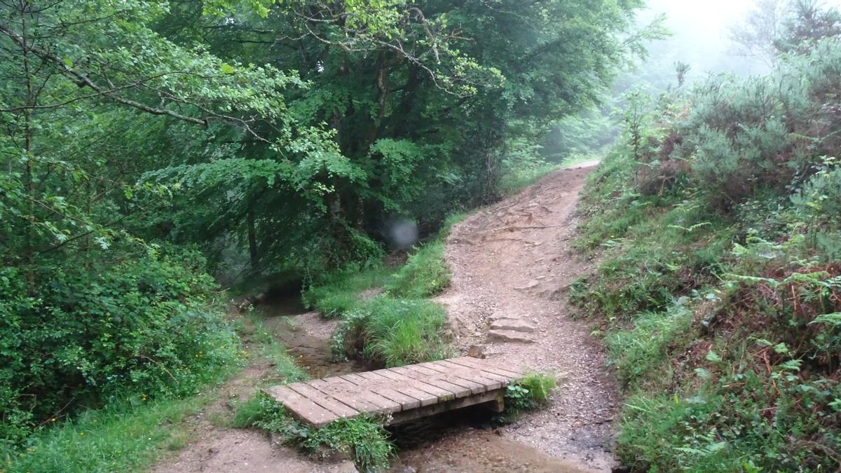 En imágenes, por el alto Oria, una cuenca con historia que hay que visitar