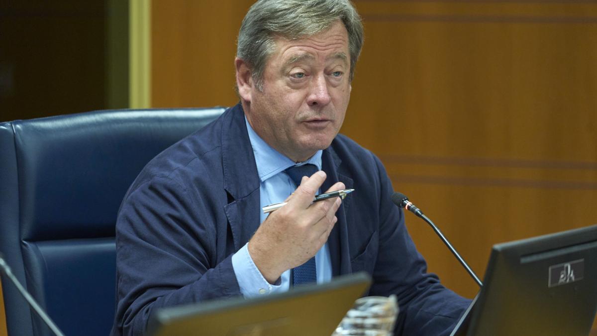 El consejero de Seguridad, Bingen Zupiria, este miércoles en la comisión del Parlamento Vasco