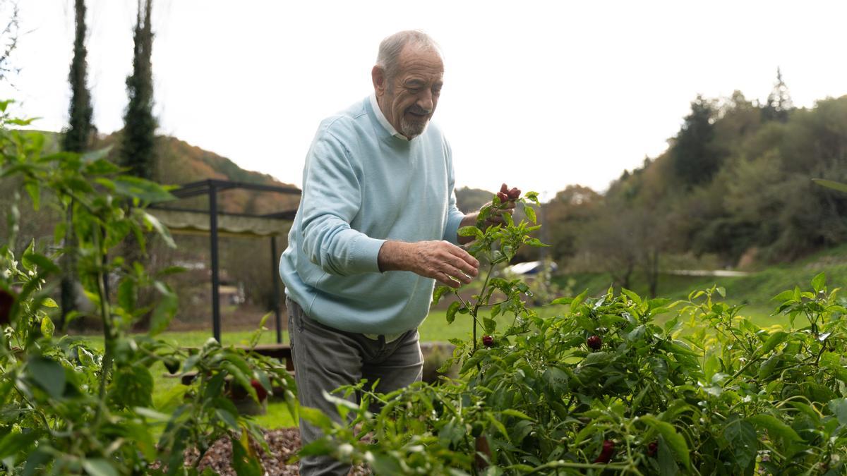 Este es el menú estrella para Karlos Arguiñano en Navidad.