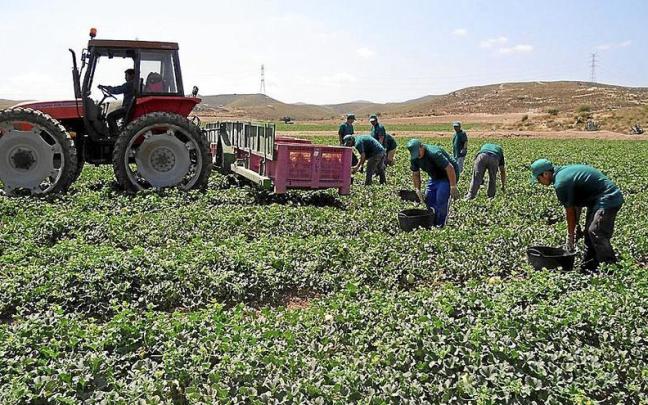 La subida salarial de los trabajadores de la agricultura fue del 3,63%. | FOTO: E. P.