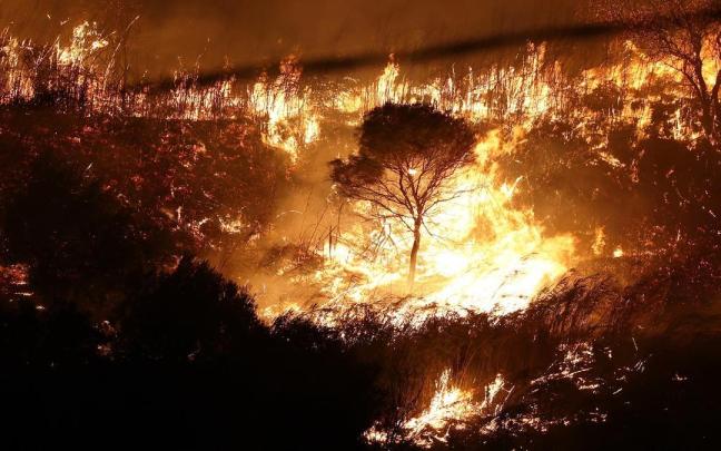 Una imagen de los incendios que asolaron la isla de Sicilia el pasado agosto Una imagen de los incendios que asolaron la isla de Sicilia el pasado agosto