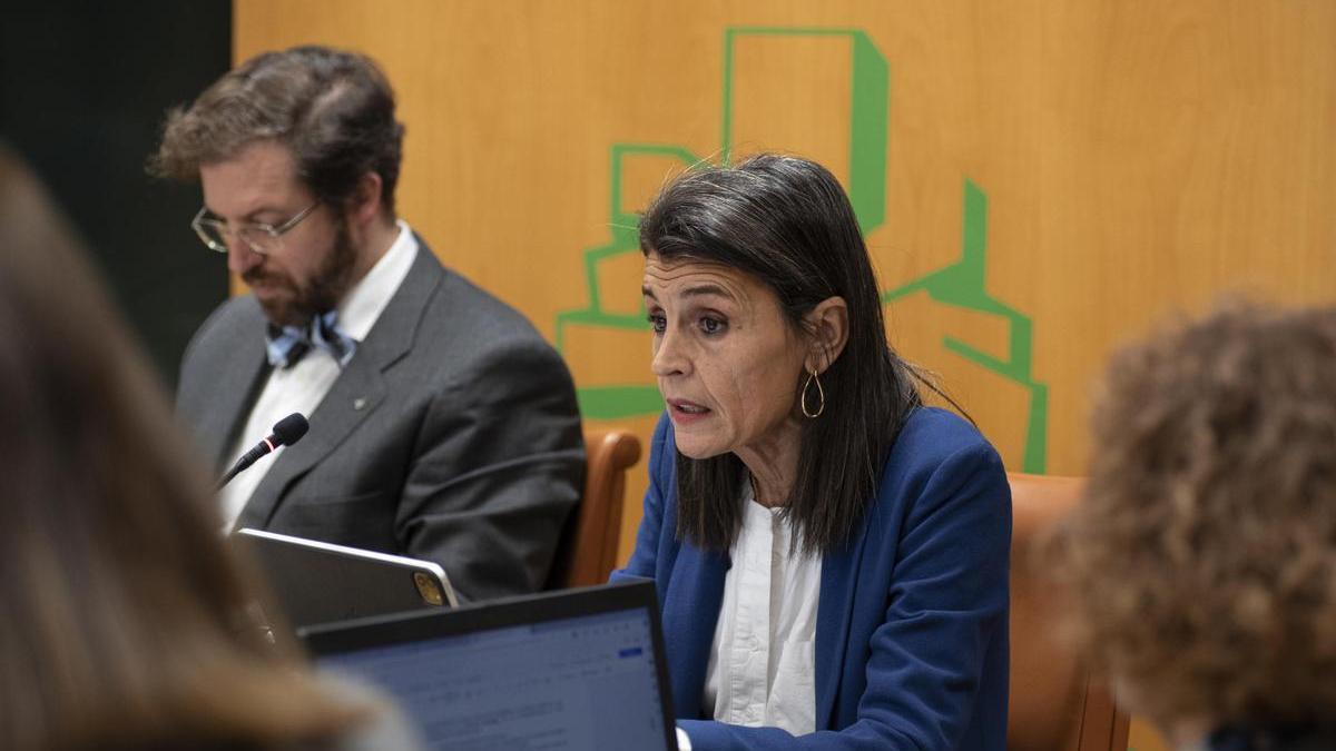 Nerea Melgosa, en su comparecencia en el Parlamento.