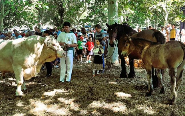El toro charolés y la yegua, junto a su inseparable potro, que subieron a la báscula para las apuestas en la feria ganadera de San Roke en Amurrio / Araceli Oiarzabal El toro charolés y la yegua, junto a su inseparable potro, que subieron a la báscula para las apuestas en la feria ganadera de San Roke en Amurrio