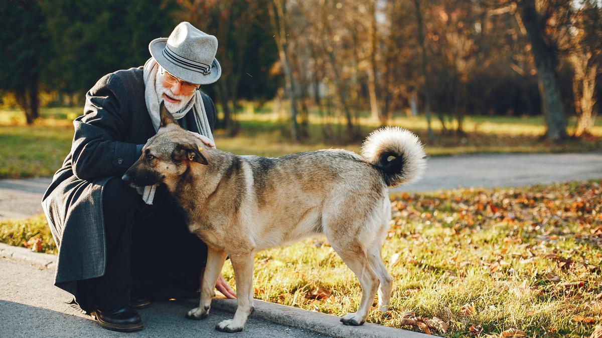 Un perro de paseo descansa junto a su dueño.