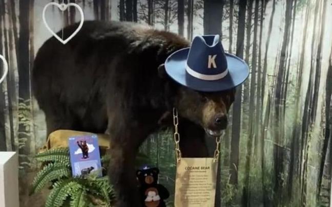 Pablo Escobear, el animal que inspiró la película 'Oso vicioso', expuesto disecado.