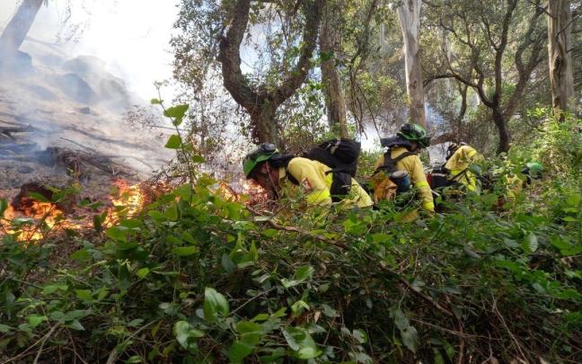 Efectivos del Infoca luchan contra el fuego en Tarifa Efectivos del Infoca luchan contra el fuego en Tarifa