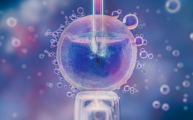 A medida que se cumplen años, la calidad del semen también se ve comprometida.