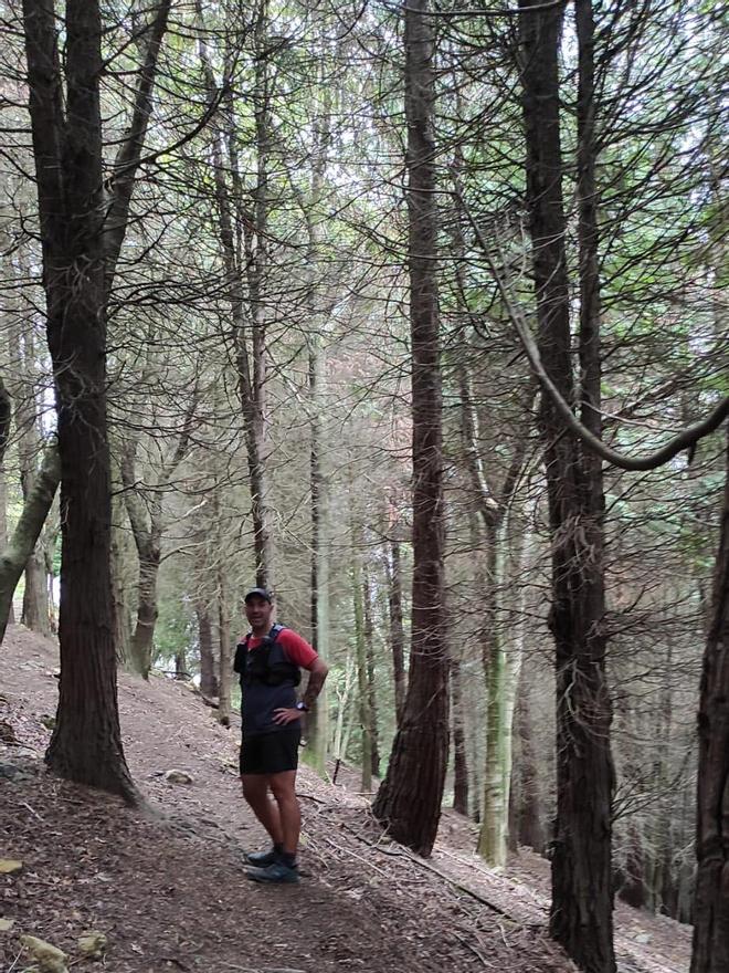 En el bosque antes de la cantera