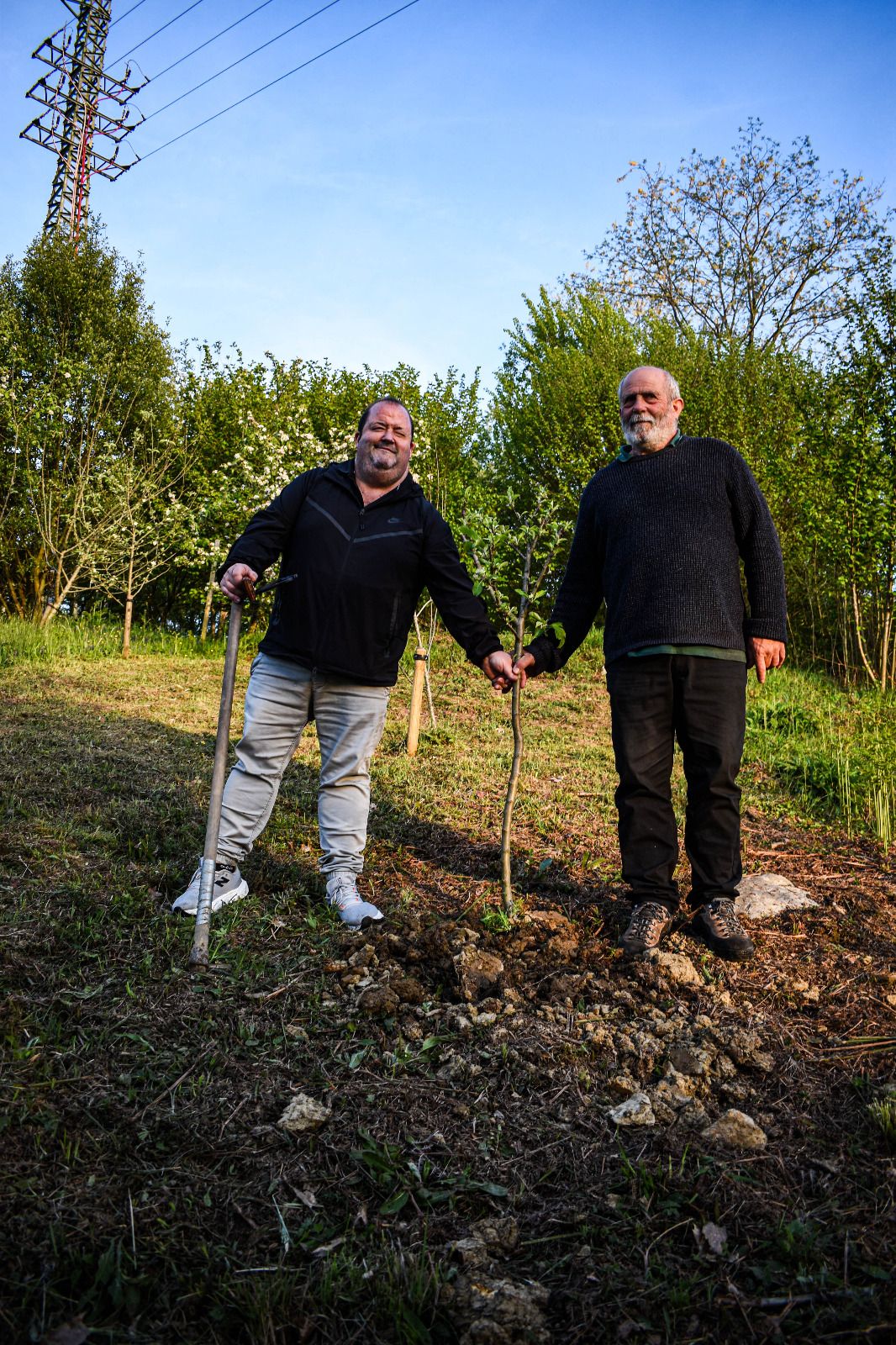 Donostia eta Egiluze sagardotegietako arduradunak sagarrondoa landatzen