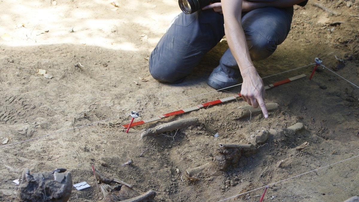 Exhumación de restos de la Guerra Civil en una fosa común.