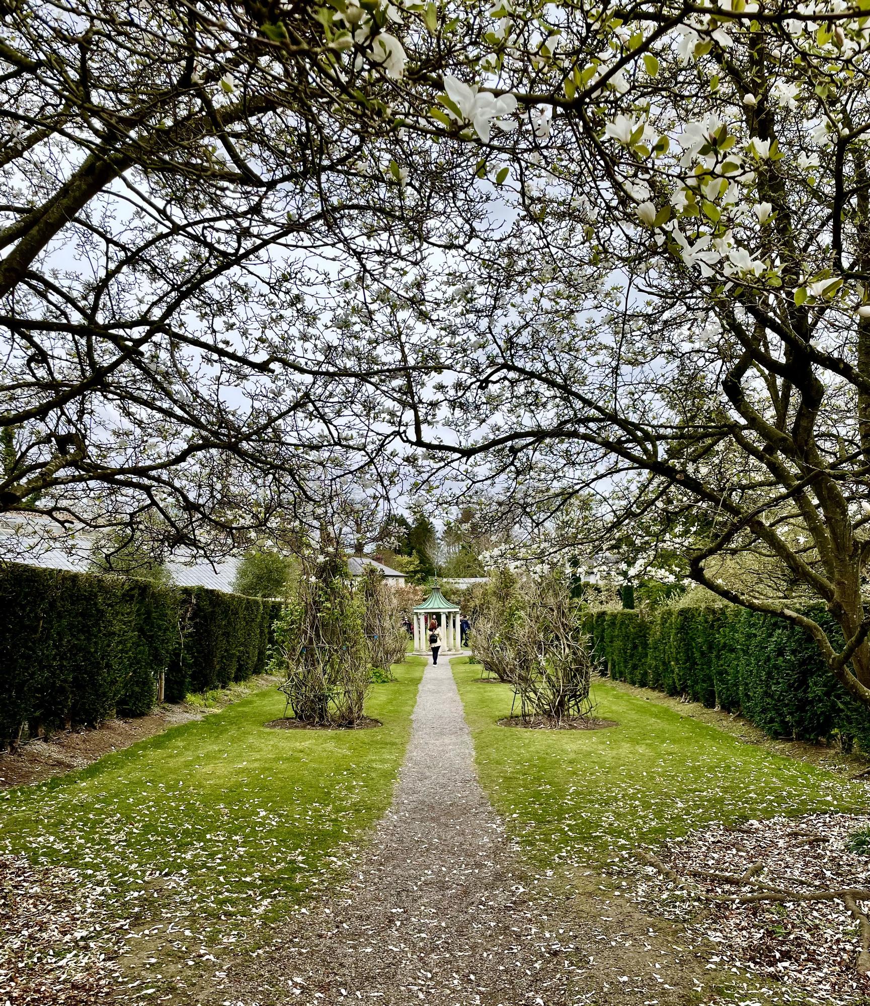 Paseo por el parque Farmleigh, en el centro de Dublín.