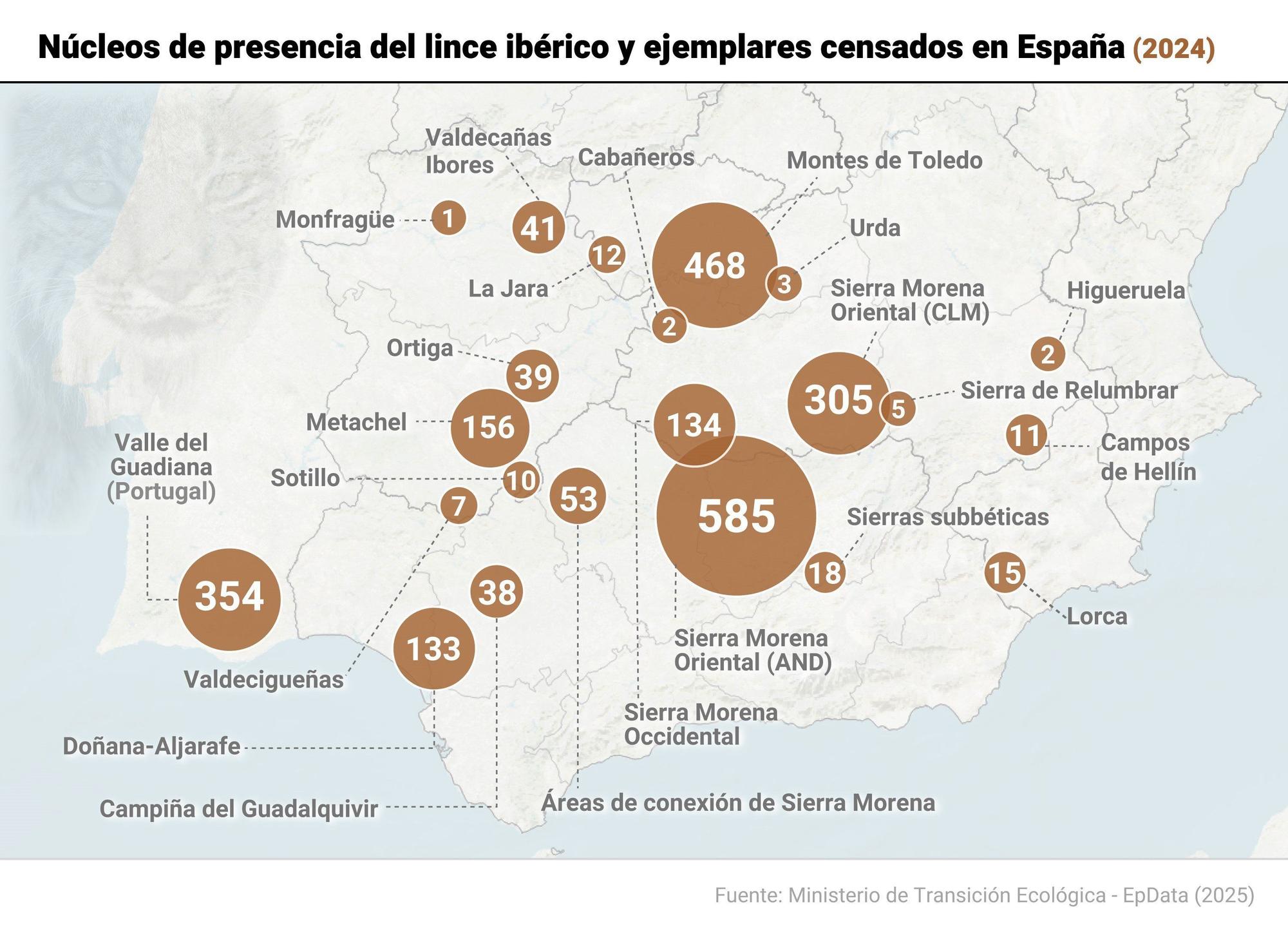 Población de lince ibérico en el Estado español.