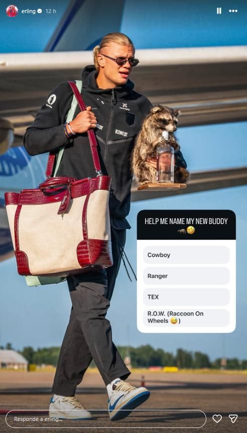 ¿Qué nombre escogerá para su nuevo amigo peludo?