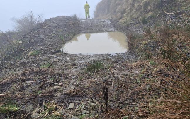 En el entorno se ha creado una nueva charca para anfibios