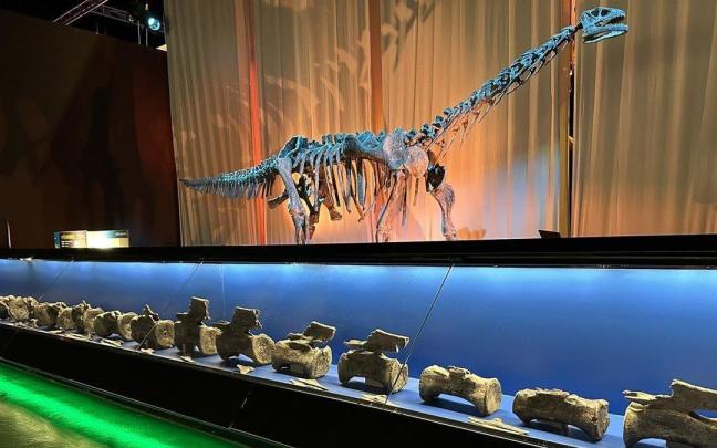 Vértebras del diplodocus identificado en El Castellar, expuestas en Dinópolis junto a la reconstrucción de un saurópodo.