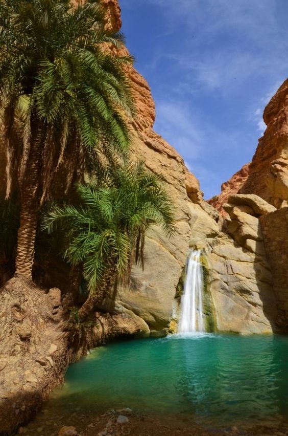 Cascada en oasis de Tozeur.