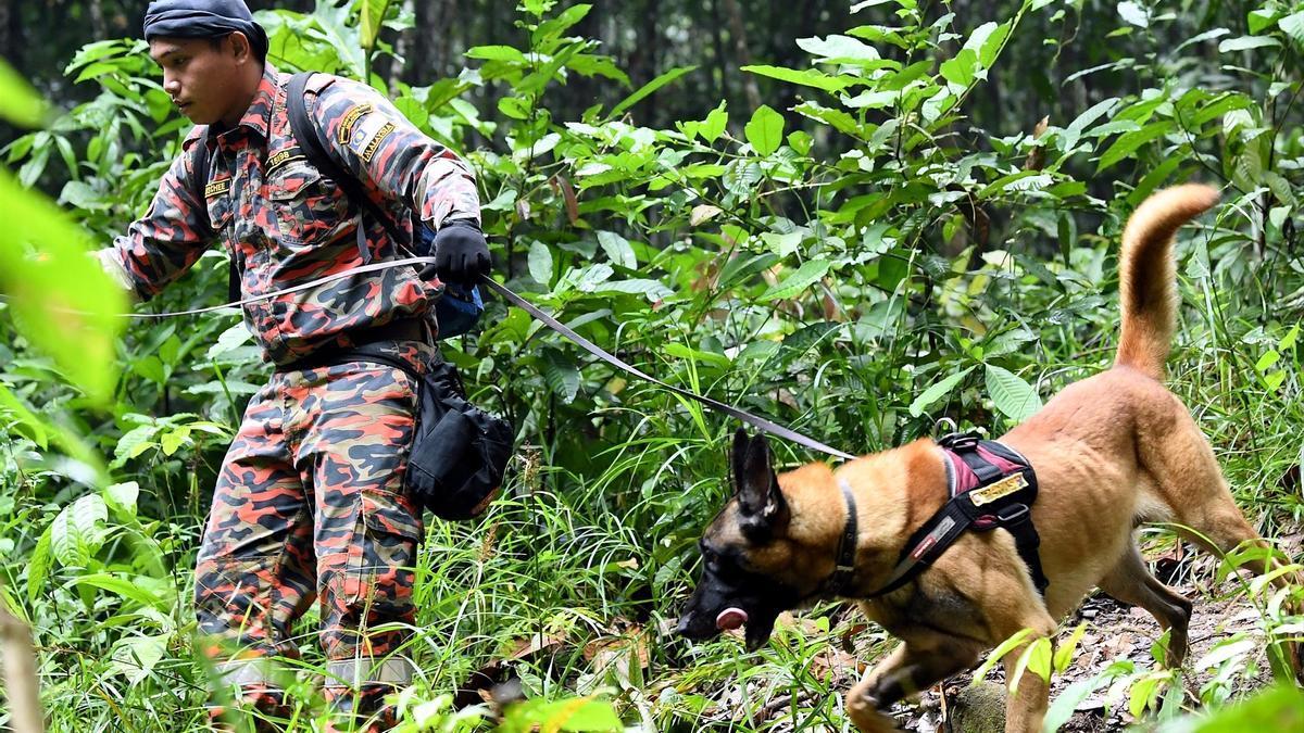 Imagen de un dispositivo de búsqueda de la policía en Malasia.