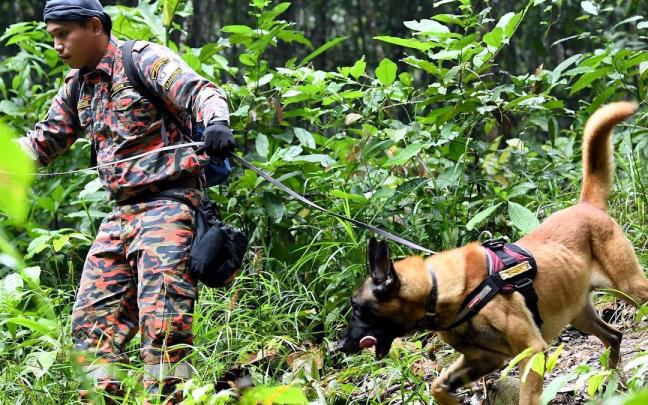 Imagen de un dispositivo de búsqueda de la policía en Malasia.