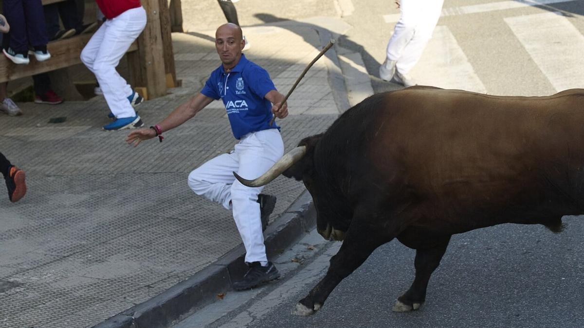 El pastor y vecino de Tafalla, Javier Sota, tropieza con el bordillo y está a punto de ser corneado.