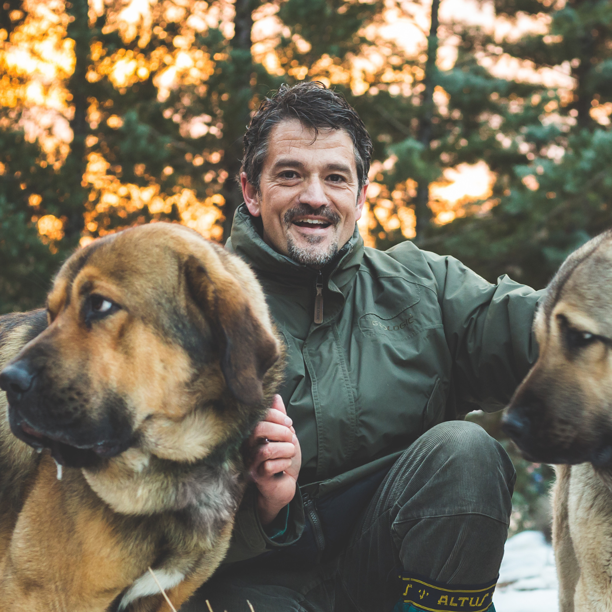David Nieto Maceón Entrevista Perros y lobos