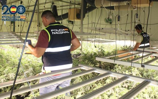 Agentes de la Policía Nacional en una de las naves industriales en las que se cultivaban plantas de marihuana.