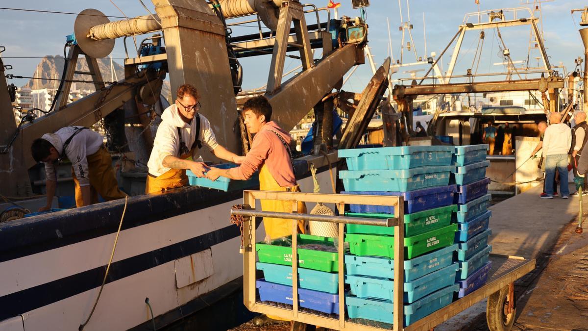 Pescadores faenan a bordo de una embarcación.