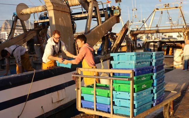 Pescadores faenan a bordo de una embarcación.