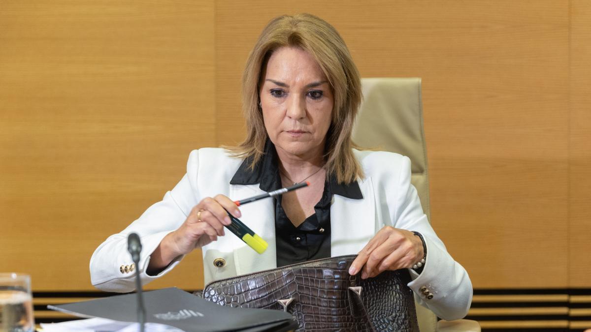 La vicepresidenta de la Generalitat Valenciana, Susana Camarero, en la comisión del Congreso sobre la dana de Valencia.