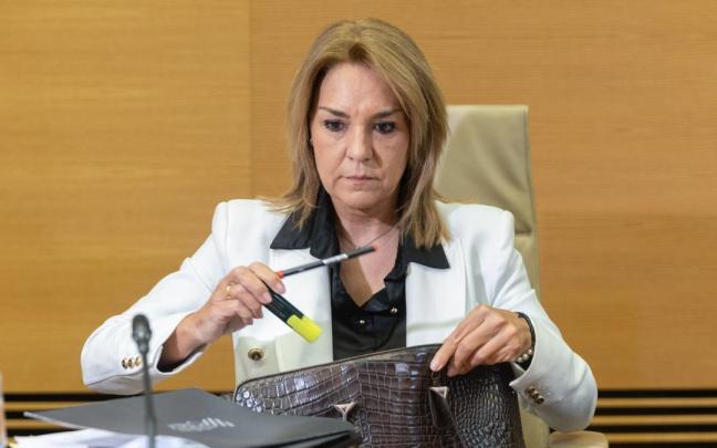 La vicepresidenta de la Generalitat Valenciana, Susana Camarero, en la comisión del Congreso sobre la dana de Valencia.