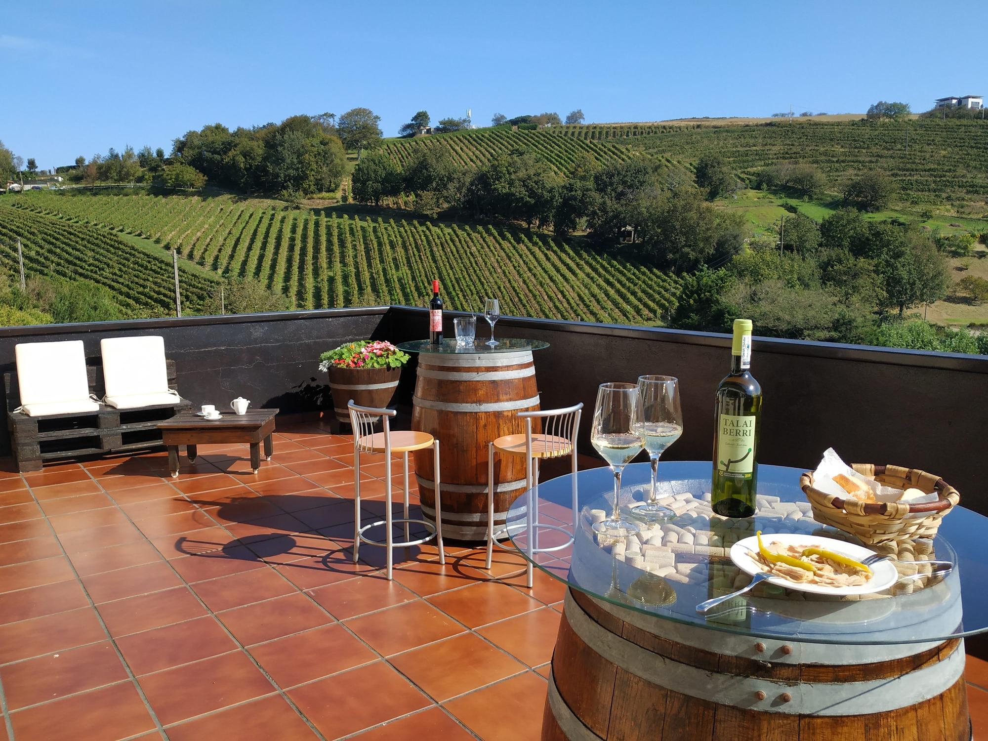 La bodega está rodeada de 12 hectáreas de viñedos.