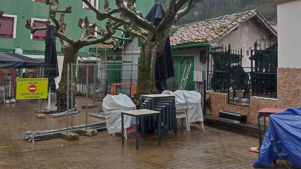 Vista del inmueble de Plaza Zaharra que se va a demoler y los plátanos que se van a ver afectados por las obras.