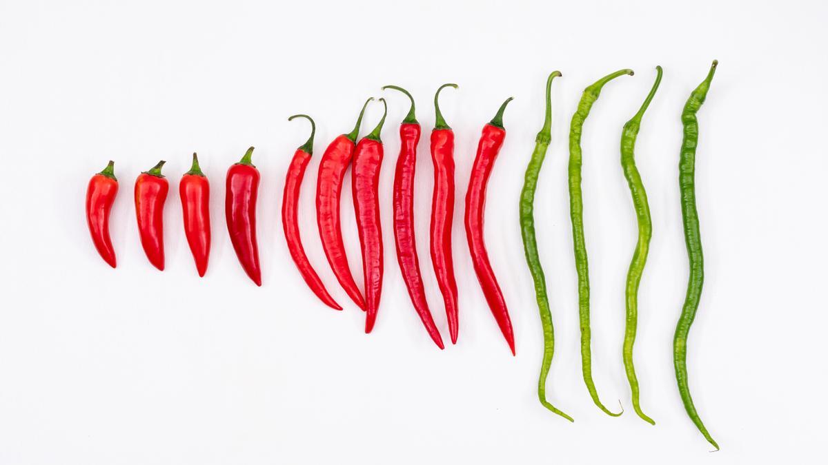 Guindillas para combatir el calor.