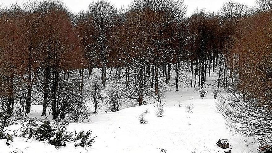 El entorno de Santa Teodosia, en la comarca de Montaña Alavesa, cubierto de nieve.