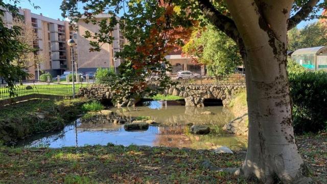 Imagen de las aguas estancadas en el emblemático estanque del barrio de Olakua. / O.U. Imagen de las aguas estancadas en el emblemático estanque del barrio de Olakua.