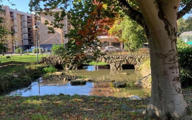 Imagen de las aguas estancadas en el emblemático estanque del barrio de Olakua.
