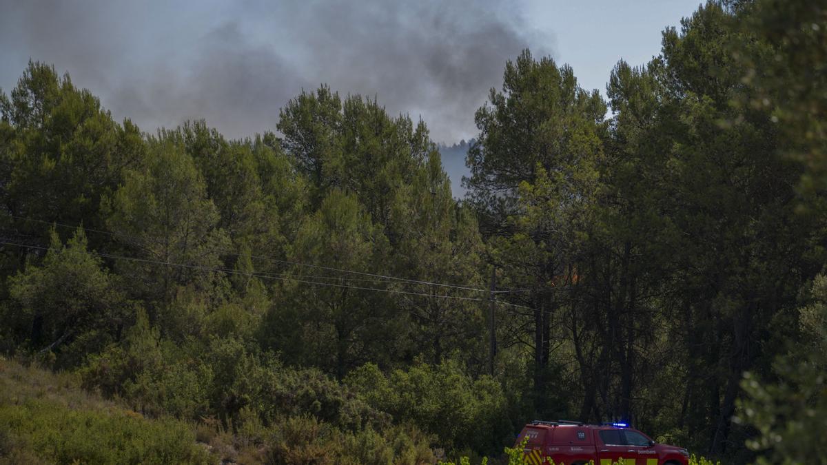 Incendio forestal en Catalunya.