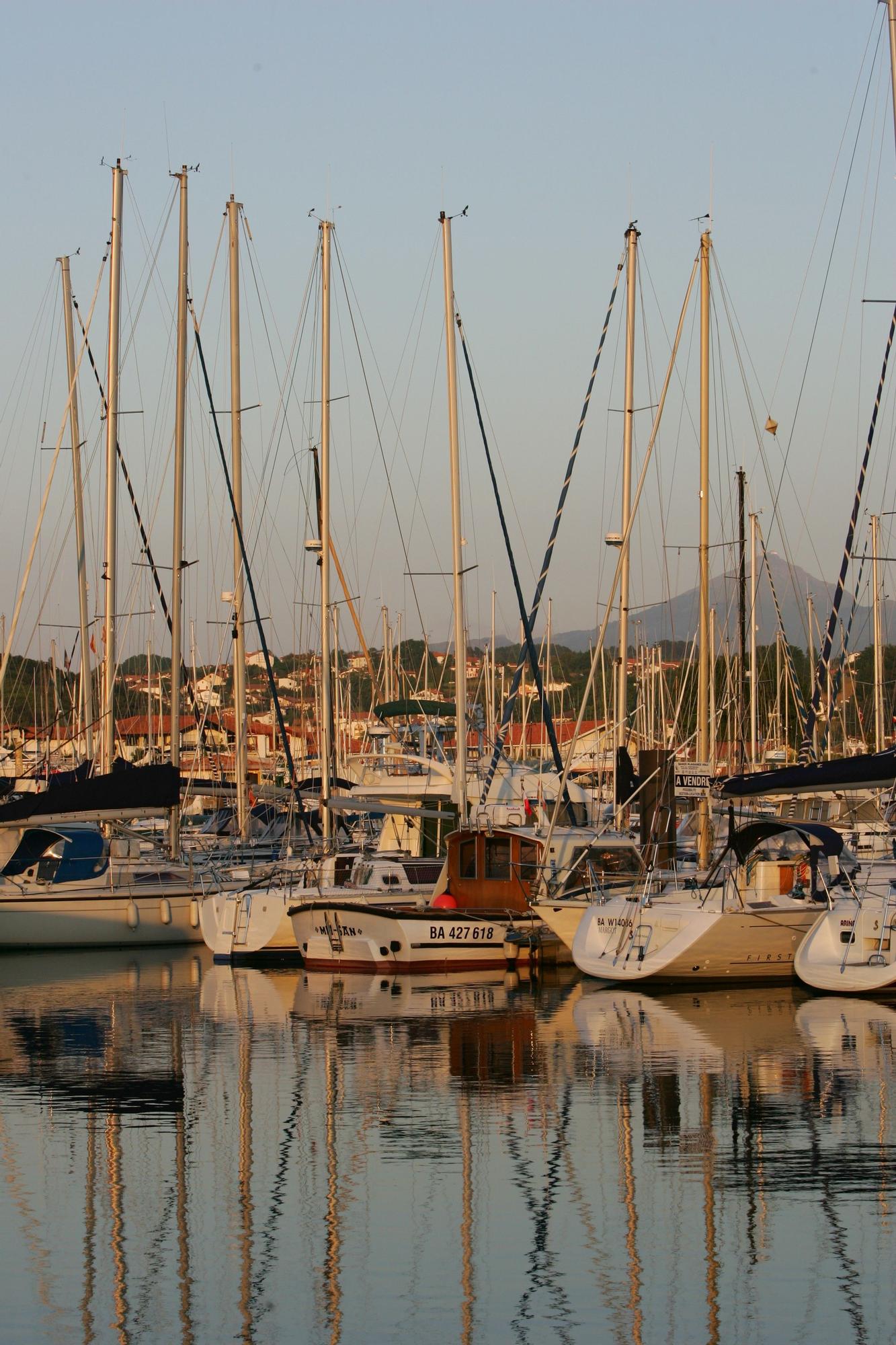 Veleros en el puerto.