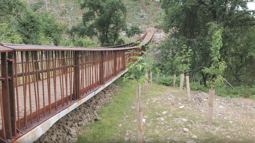 La pasarela tiene 70 metros de longitud, dos metros de anchura y una altura de unos 20 metros sobre el arroyo.