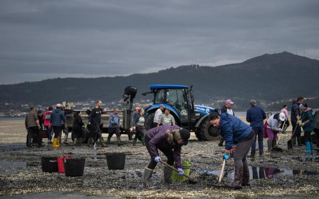 Imagen de archivo de mariscadores en A Coruña