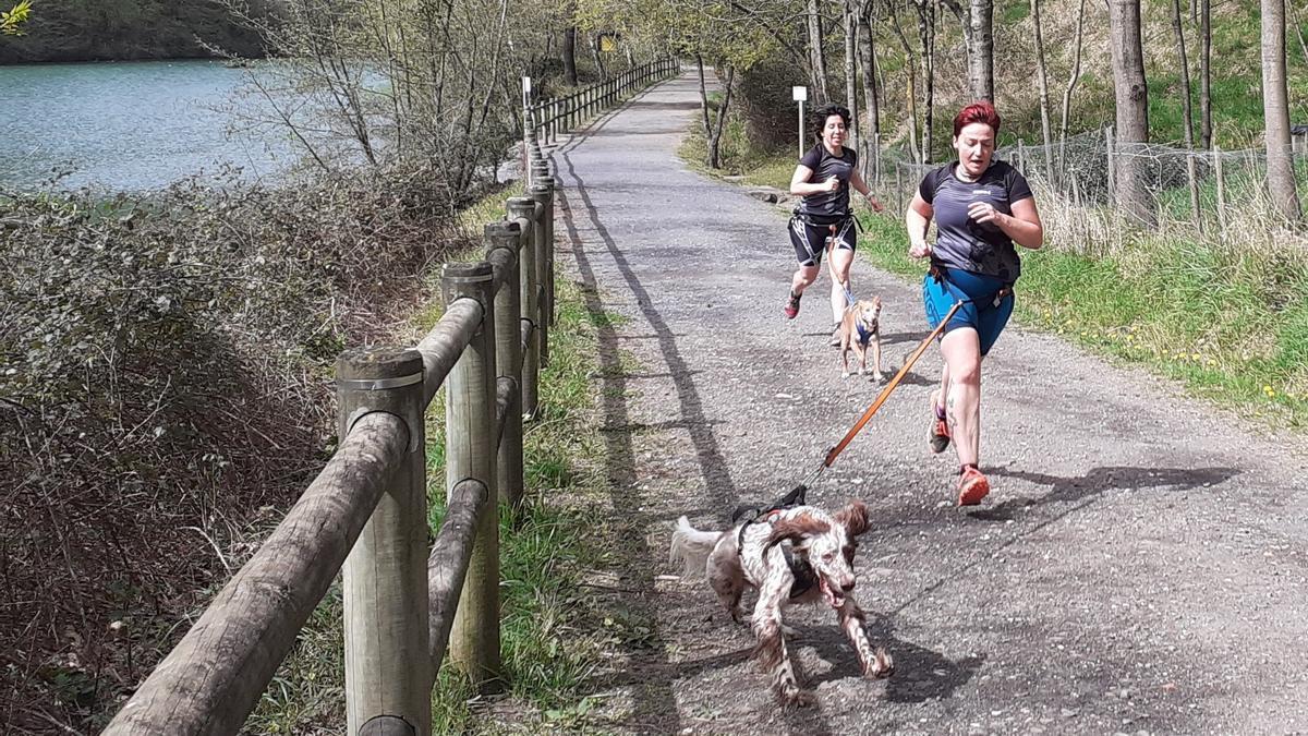 Deportitas corriendo con sus mascotas en el parque Mendikosolo de Arrigorriaga