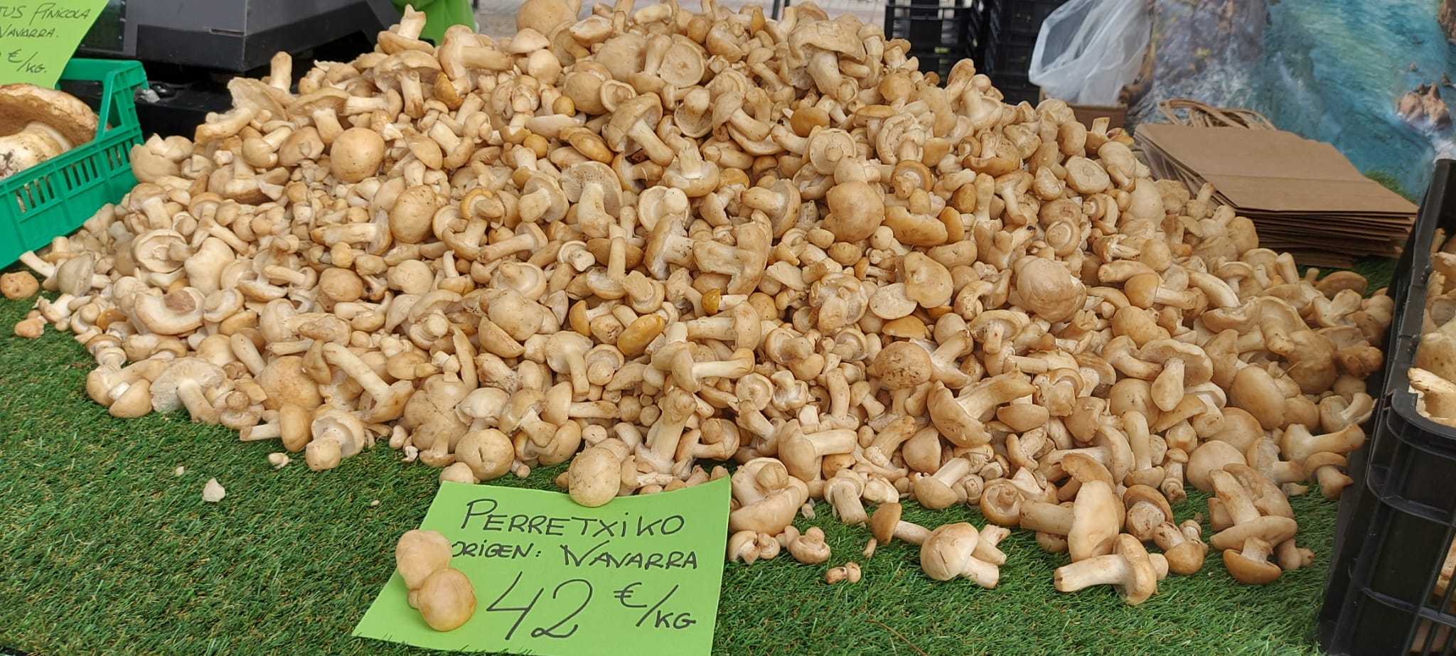 Perretxikos, una de las estrellas de la fiesta