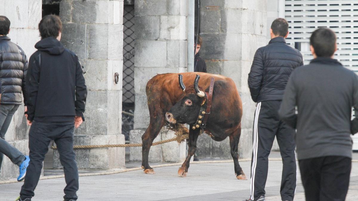 Celebración de una sokamuturra.
